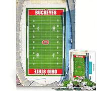 Puzzle da 1000 pezzi per adolescenti con lo stadio di baseball dei Buckeyes, giocattolo fai da te, decorazione perfetta, con pezzi di forma casuale completamente ad incastro 50x75cm