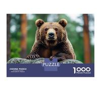Puzzle da 1000 pezzi per adolescenti con ritratto di orso marrone su rocce, gioco di pensiero, allenamento della memoria, divertimento per la casa, 70 x 50 cm/1000 pezzi