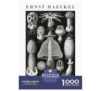 Puzzle Da 1000 Pezzi Per Adolescenti Ernst Haeckels Nature Forms Puzzle Per Adulti Giochi Rilassanti Corsa Di Velocità Manuale Regali Di Natale E Compleanno 52x38cm/1000pcs
