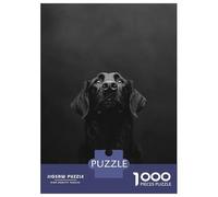 Puzzle Da 1000 Pezzi Per Adolescenti Flat-coated Retriever Photography Puzzle Per Adolescenti Gioco Rompicapo Regali Per Donne Attività Divertenti A Casa 52x38cm/1000pcs