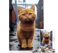 Puzzle da 1000 pezzi per adolescenti Gatto rosso in ambiente urbano Giocattoli antistress Ottimi regali e giocattoli Gioco rompicapo Allena il tuo cervello e le tue mani Dimensioni 50x75cm