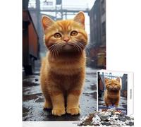 Puzzle da 1000 pezzi per adolescenti Gatto rosso in ambiente urbano Giocattoli fai da te Ottimi regali e giocattoli Giochi rilassanti Decompressione intellettuale Dimensioni 38x26cm