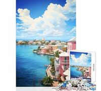 Puzzle da 1000 pezzi per adolescenti giocattolo educativo con pittura a olio NASSAU ottimo regalo per gioco educativo per compleanno Natale dimensioni 50x75cm