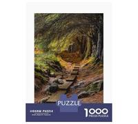 Puzzle Da 1000 Pezzi Per Adolescenti Irish Woodland Path Puzzle Per Adolescenti Gioco Pratico Decorazione Perfetta Per È Ideale Come Regalo 38x26cm/1000pcs