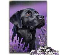 Puzzle da 1000 pezzi per adolescenti Lavanda e Labrador 1000 pezzi per adulti, giochi educativi classici Bellissima decorazione (26x38cm)