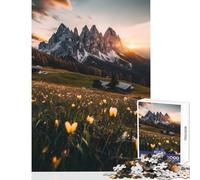 Puzzle da 1000 pezzi per adolescenti Montagna Tramonto Prato Giocattoli antistress Regalo di compleanno Giochi divertenti Collezione di artisti Belle arti Dimensioni 50x75cm