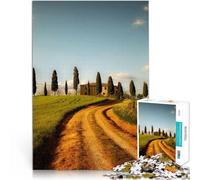 Puzzle da 1000 pezzi per adolescenti Paesaggi della Toscana Vacanza a casa: uccidere il tempo Migliorare l'amore tra le coppie 75x50cm