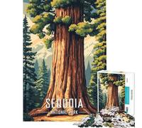 Puzzle da 1000 pezzi per adolescenti puzzle con poster del Parco Nazionale di Sequoia per adulti giocattolo decorativo da parete migliora la memoria riduce lo stress regalo (dimensioni 50x75cm)