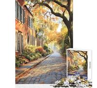 Puzzle da 1000 pezzi per adolescenti raffigurante il quartiere storico di Savannah in Georgia un'opera d'arte impossibile un giocattolo educativo perfetto per ridurre lo stress e creare un'atmosfera