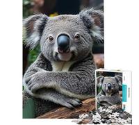 Puzzle da 1000 pezzi per adolescenti ritratto di koala con le braccia incrociate puzzle per adulti giocattolo antistress sfida educativa difficile (dimensioni 38x52cm)