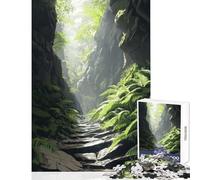 Puzzle da 1000 pezzi per adolescenti sentiero in pietra attraverso la foresta giocattoli antistress idee regalo giochi educativi con poster abbinato e foglio di quiz dimensioni 38x26cm