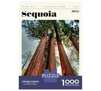 Puzzle Da 1000 Pezzi Per Adolescenti Sequoia National Park Travel Art Puzzle Per Adulti Gioco Rompicapo Analisi E Logica Regalo Di Compleanno, Regali, 70x50cm/1000pcs
