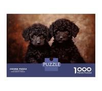 Puzzle Da 1000 Pezzi Per Adolescenti Two Black Poodle Puppies Puzzle Giochi Per Famiglie Decorazione Murale Regali Unici Per Compleanno E Natale 70x50cm/1000pcs