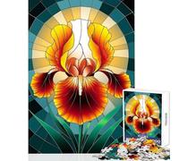 Puzzle da 1000 pezzi per adolescenti vibrante fenice e iris in vetro colorato giocattolo educativo fantastici regali e giocattoli giochi rilassanti attività divertenti a casa dimensioni 50x75cm