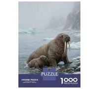 Puzzle Da 1000 Pezzi Per Adolescenti Walrus Mother And Pup on Shore Puzzle Per Adolescenti Gioco Pratico Migliora La Memoria Regali Per Amici E Familiari 52x38cm/1000pcs