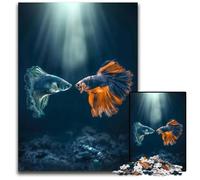 Puzzle da 1000 pezzi per adulti Betta Meeting Puzzle difficili per adulti Perfetti per adolescenti Rompicapo per creare legami familiari e regalo fai da te per la casa 1000 pezzi (75x50cm)