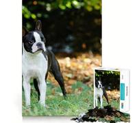 Puzzle da 1000 pezzi per adulti con Boston Terrier,disegno a incastro preciso,gioco di logica e pensiero creativo,ideale per il tempo libero,con scena natalizia 50x75cm