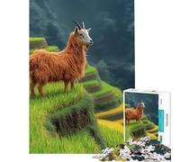 Puzzle da 1000 pezzi per adulti con capra su risaie a terrazze gioco educativo e sfida ideale per la decorazione della casa e come regalo (dimensioni 75x50cm)