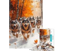 Puzzle da 1000 pezzi per adulti con husky che corrono in una foresta autunnale ideale per ragazzi Un gioco antistress divertente e umoristico da fare a casa (dimensioni 50x75cm)