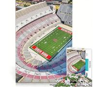 Puzzle da 1000 pezzi per adulti con lo stadio di baseball dei Buckeyes, gioco per famiglie, gara di velocità manuale, adatto come decorazione da scrivania 50x75cm