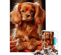 Puzzle da 1000 pezzi per adulti con motivo Cavalier King Charles Spaniel di Ruby ideale per tutta la famiglia Sfida di intelligenza e stimolazione mentale Giocattolo avvincente per divertirsi