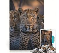 Puzzle da 1000 pezzi per adulti con ritratto di quattro leopardi, giocattolo fai-da-te, per divertimento in famiglia, per rafforzare l'amore tra le coppie 50x75cm