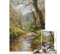 Puzzle da 1000 pezzi per adulti con ruscello nel bosco gioco interattivo per famiglie antistress e divertente per ridurre lo stress (52x38cm)