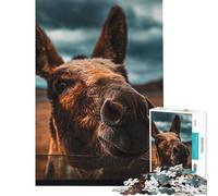 Puzzle da 1000 pezzi per adulti con simpatico asinello e anima curiosa Gioco rompicapo per adulti sfida di velocità regalo di compleanno o unico (dimensioni 38x52cm)