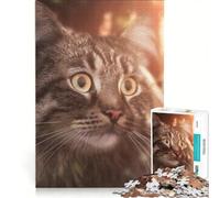 Puzzle da 1000 pezzi per adulti con splendido gatto siberiano, gioco impossibile, analisi e logica, per rafforzare l'amore tra le coppie 50x75cm