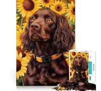 Puzzle da 1000 pezzi per adulti con un Boykin Spaniel in un campo di girasoli,disegno nitido e stimolante,ideale per intrattenere e creare la propria menteGioco divertente per il tempo libero