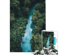 Puzzle da 1000 pezzi per adulti con vista aerea di un fiume nella foresta Gioco interattivo per passare il tempo durante le vacanze compleanno e Natale (dimensioni 38x52cm)