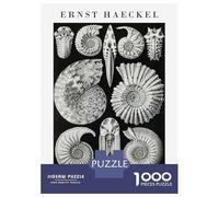 Puzzle Da 1000 Pezzi Per Adulti Ernst Haeckel Ammonite Illustration Puzzle Per Adolescenti Gioco Per Famiglie Migliora La Memoria Difficile E Stimolante 38x26cm/1000pcs