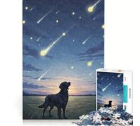 Puzzle da 1000 pezzi per adulti, Flat-Coated Retriever, Pallina da tennis, Pioggia di meteoriti, Giochi educativi, Allena la mente e le mani, Collezione d'artista, Belle arti 38x26cm