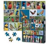 Puzzle da 1000 pezzi per adulti, grande collage di uccelli per gli amanti degli uccelli, allenamento cerebrale impegnativo con poster di riferimento, puzzle dettagliato con animali come idea regalo