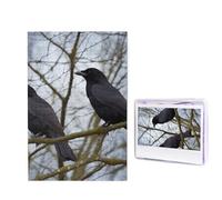 Puzzle da 1000 pezzi per adulti in legno impegnativo puzzle nero corvo uccelli foto puzzle personalizzato personalizzato per adulti e bambini serate di gioco in famiglia 50 x 49,5 cm Puzzle
