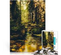 Puzzle da 1000 pezzi per adulti Klondike Aiuta il cervello ad allenare i giocattoli che creano dipendenza per coltivare la pazienza Idee regalo 52x38cm