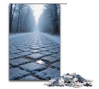 Puzzle da 1000 pezzi per adulti "La strada di ciottoli è ricoperta di brina argentata". Il gioco è ideale come regalo per tutta la famiglia. 1000 pezzi (38x26 cm).