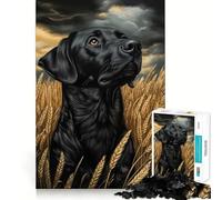 Puzzle da 1000 pezzi per adulti Labrador nero in un campo di grano,gioco di logica e pensiero logico,ideale per il tempo libero,con soggetto natalizio 50x75cm