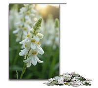 Puzzle da 1000 pezzi per adulti "Le canne bianche come la neve ondeggiano nel vento" Gioco di puzzle Decorazione perfetta per adolescenti dai 14 anni in su 1000 pezzi (75x50 cm)