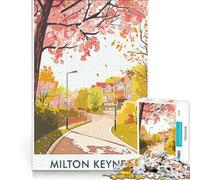 Puzzle da 1000 pezzi per adulti Milton Keynes Autumn Street gioco educativo difficile e stimolante ideale come regalo 38x52cm