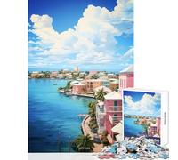 Puzzle da 1000 pezzi per adulti NASSAU dipinto a olio giocattoli antistress fantastici regali e giocattoli gioco educativo interessante riduzione dello stress dimensioni 38x52cm