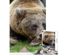 Puzzle da 1000 pezzi per adulti: Orso che dorme su una pietra Gioco pratico di analisi e logica antistress ideale come decorazione per la scrivania (38x52cm)