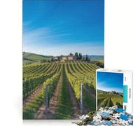 Puzzle da 1000 pezzi per adulti paesaggio toscano con vigneti sotto un cielo azzurro gioco educativo sfida impegnativa per rafforzare l'amore tra le coppie 50x75cm