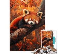 Puzzle da 1000 pezzi per adulti Panda rosso che dorme in autunno gioco rompicapo giocattolo intellettuale regalo di compleanno decorazione da parete (dimensioni 38x26cm)