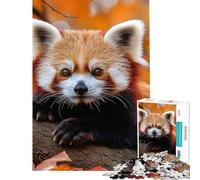 Puzzle da 1000 pezzi per adulti: Panda rosso su un ramo in autunno Gioco rompicapo di logica e analisi compleanno e Natale (Dimensioni 50x75cm)