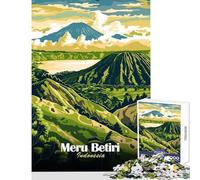 Puzzle da 1000 pezzi per adulti Parco Nazionale Meru Betiri Indonesia Puzzle da 1000 pezzi gioco impossibile ottimo regalo per gli amanti dei giochi taglio di precisione (38x52cm)