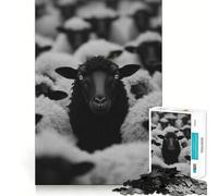 Puzzle da 1000 pezzi per adulti,Pecora nera tra le pecore bianche,gioco di incastro,gioco di risoluzione di problemi,momento di divertimento rilassante,decorazione natalizia 38x26cm