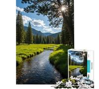 Puzzle da 1000 pezzi per adulti raffigurante un fiume sereno che attraversa un prato nel bosco Un gioco pratico per passare il tempo durante le vacanze compleanni e Natale