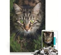 Puzzle da 1000 pezzi per adulti, raffigurante un gatto che cammina nell'erba, gioco interattivo, taglio di precisione, regalo di compleanno, regalo 38x26cm