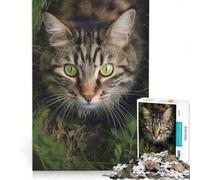 Puzzle da 1000 pezzi per adulti, raffigurante un gatto che cammina nell'erba, gioco rompicapo, taglio di precisione, collezione d'artista, opera d'arte 50x75cm